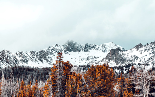 1252949 (a): :2560x1600